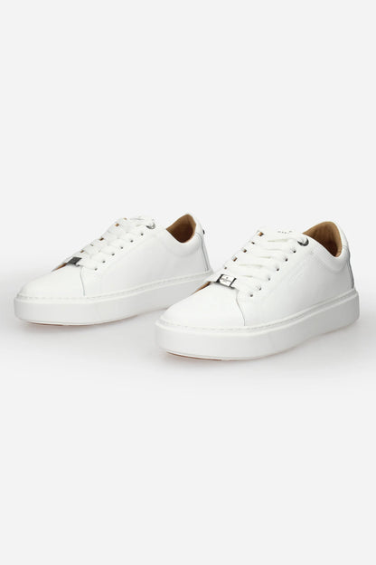 9143 SNEAKERS ALEXANDER SMITH  - 19639
