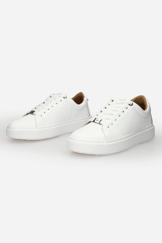 9143 SNEAKERS ALEXANDER SMITH  - 19639