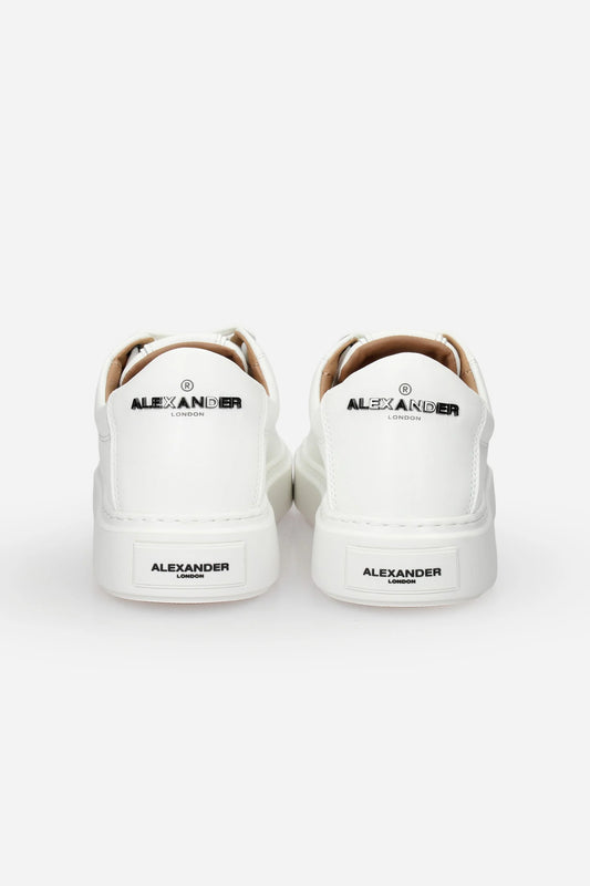 9143 SNEAKERS ALEXANDER SMITH  - 19639